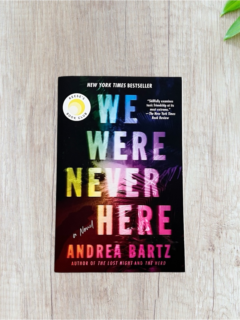 We Were Never Here - Andrea Bartz